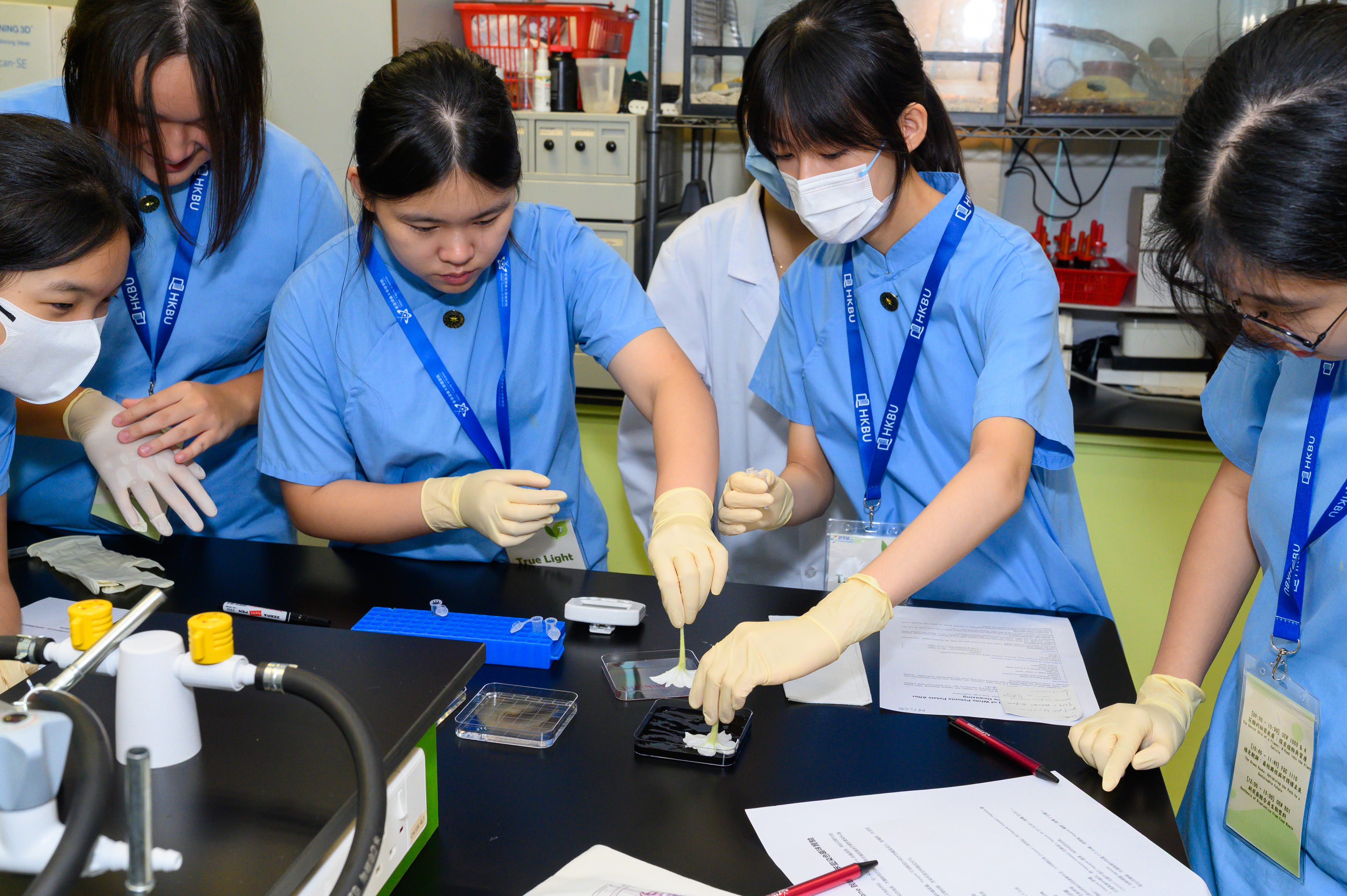 Science Festival 2026 inspires secondary school students to build a sustainable future
