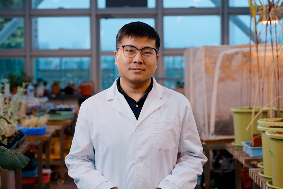 Unveiling the secrets of plants